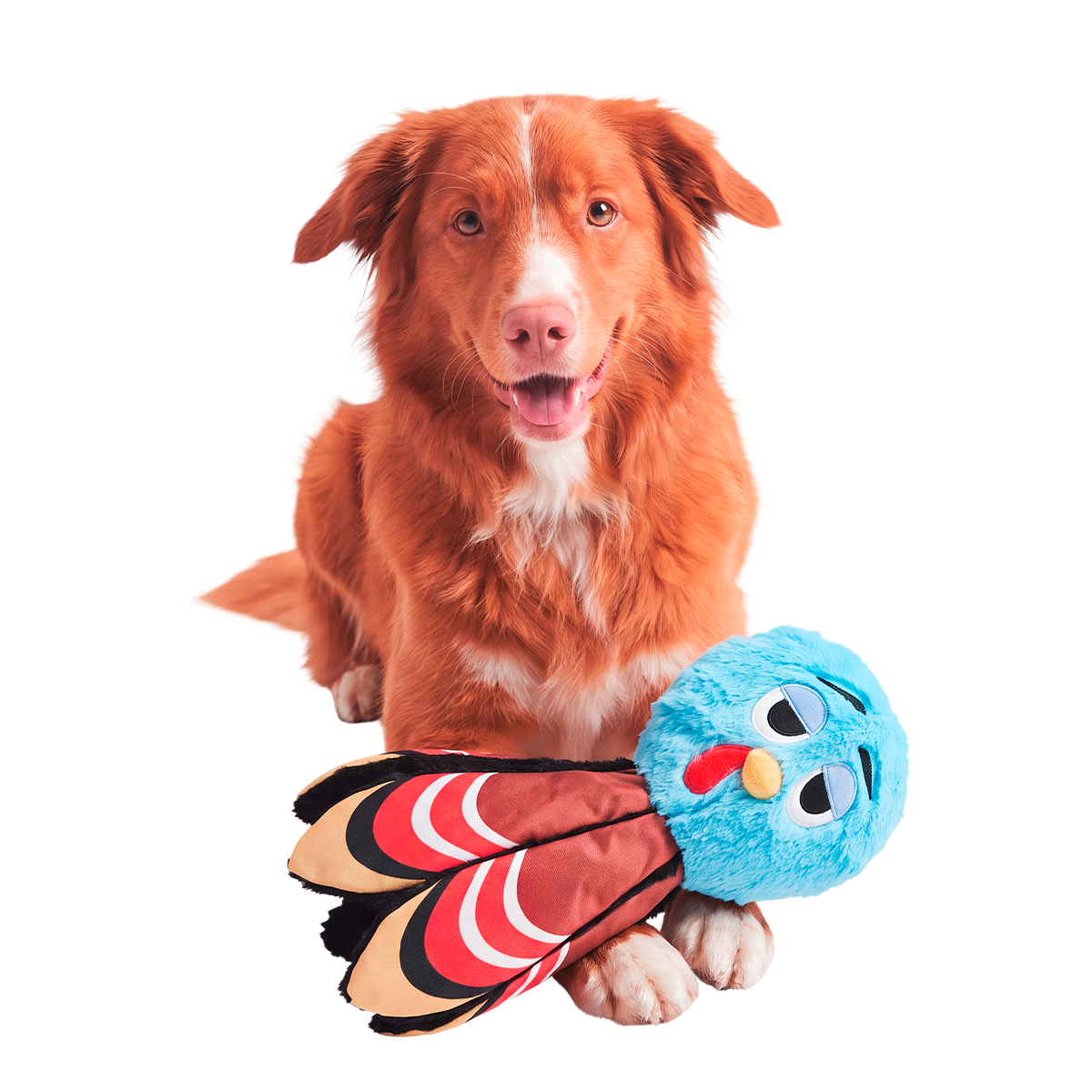 Ollie the Octopus Club, Plush Tug Monthly Dog Toys