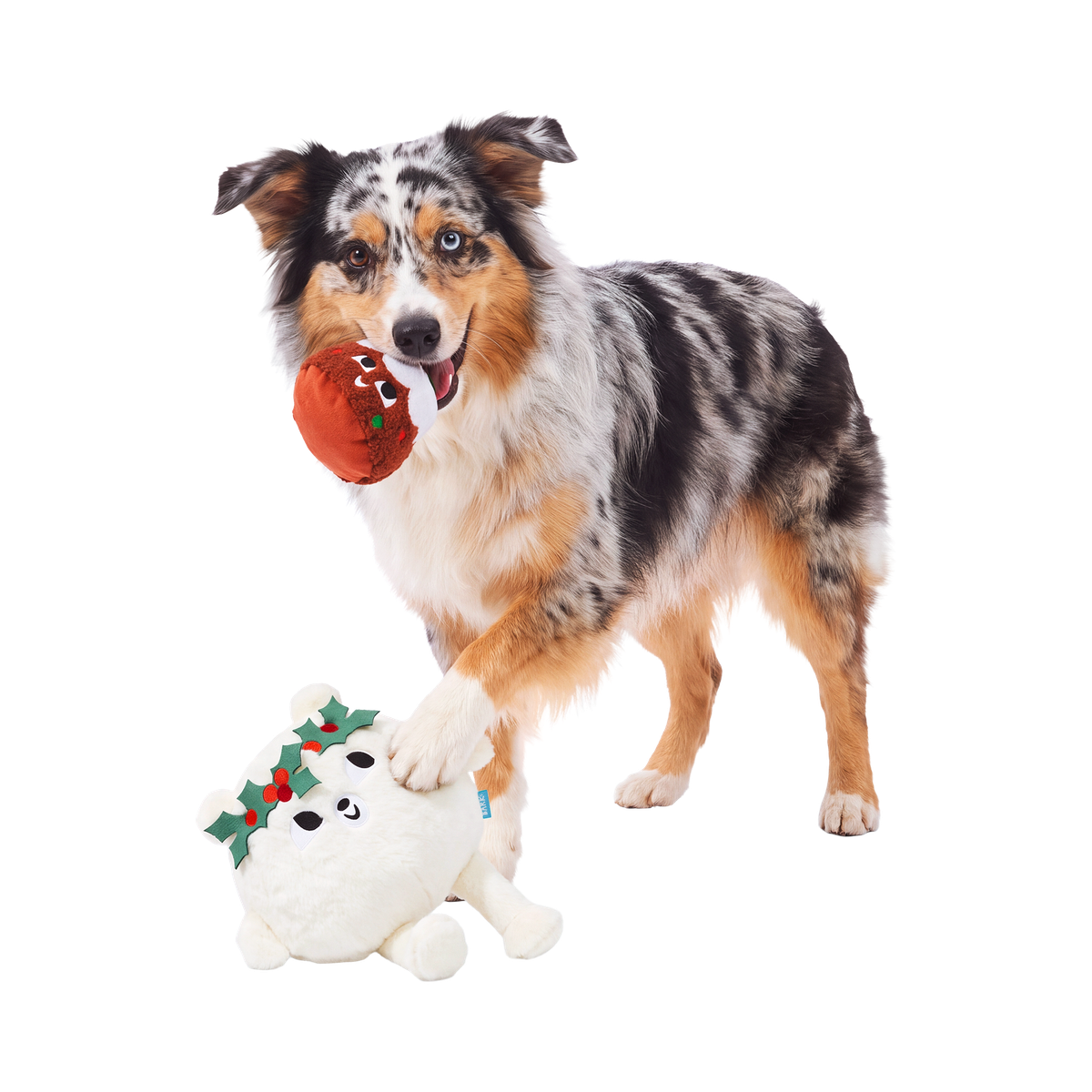 Holly Jolly Polly Plush 2-in-1 + Fetch Dog Toy