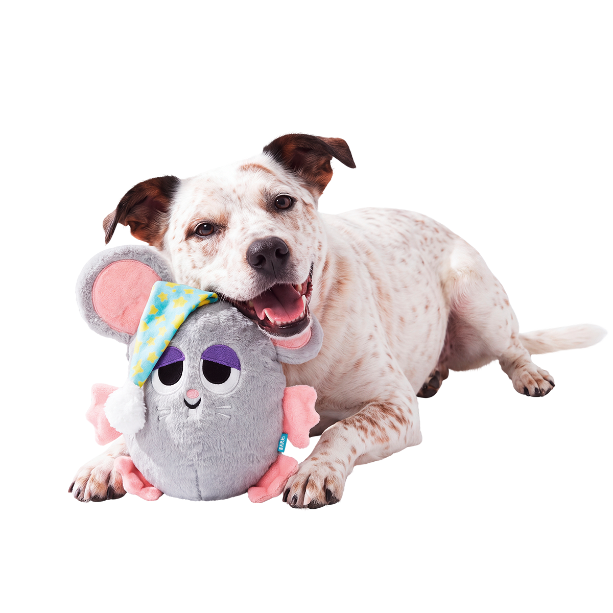 Stirring Stanford Plush Extra-Large + Tug Dog Toy