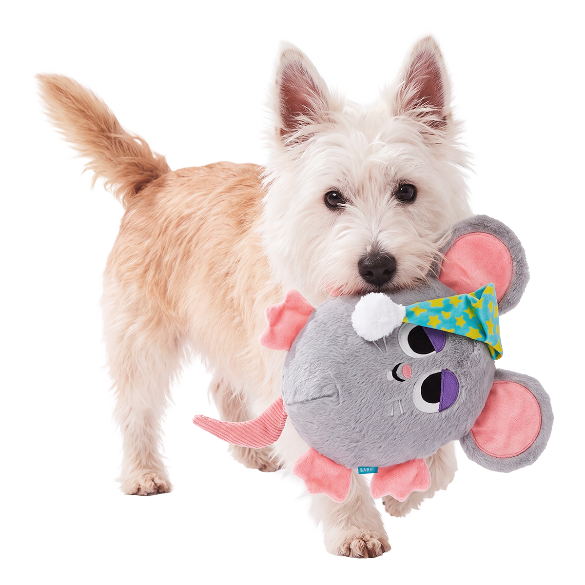 Stirring Stanford Plush Extra-Large + Tug Dog Toy