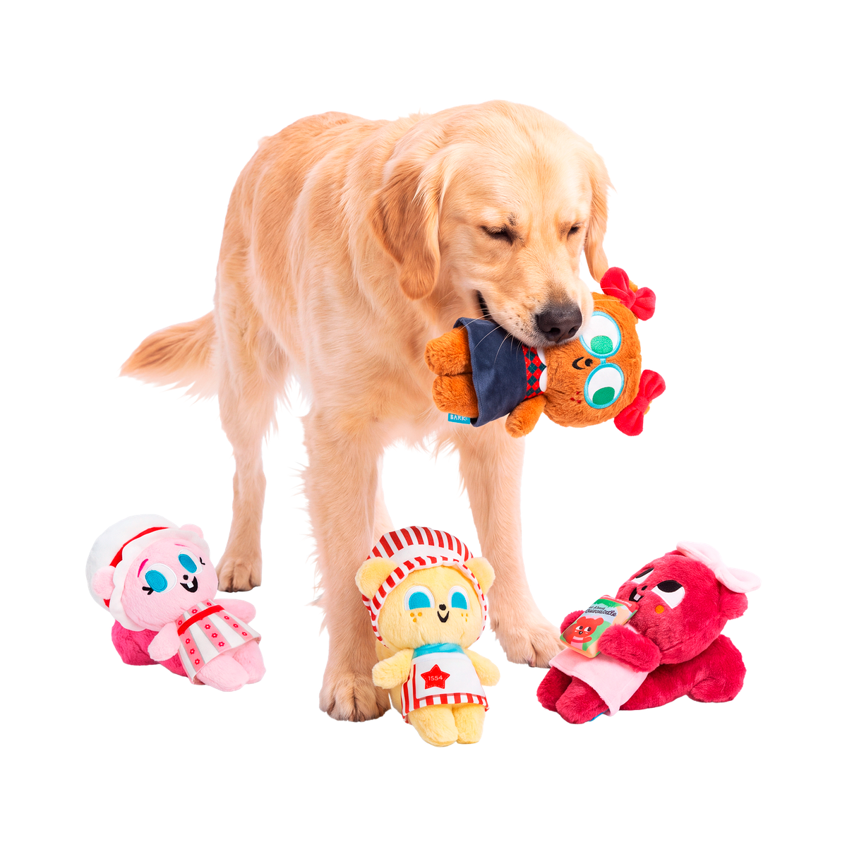 American Squirrel Dolls Plush Multi-Part Dog Toy