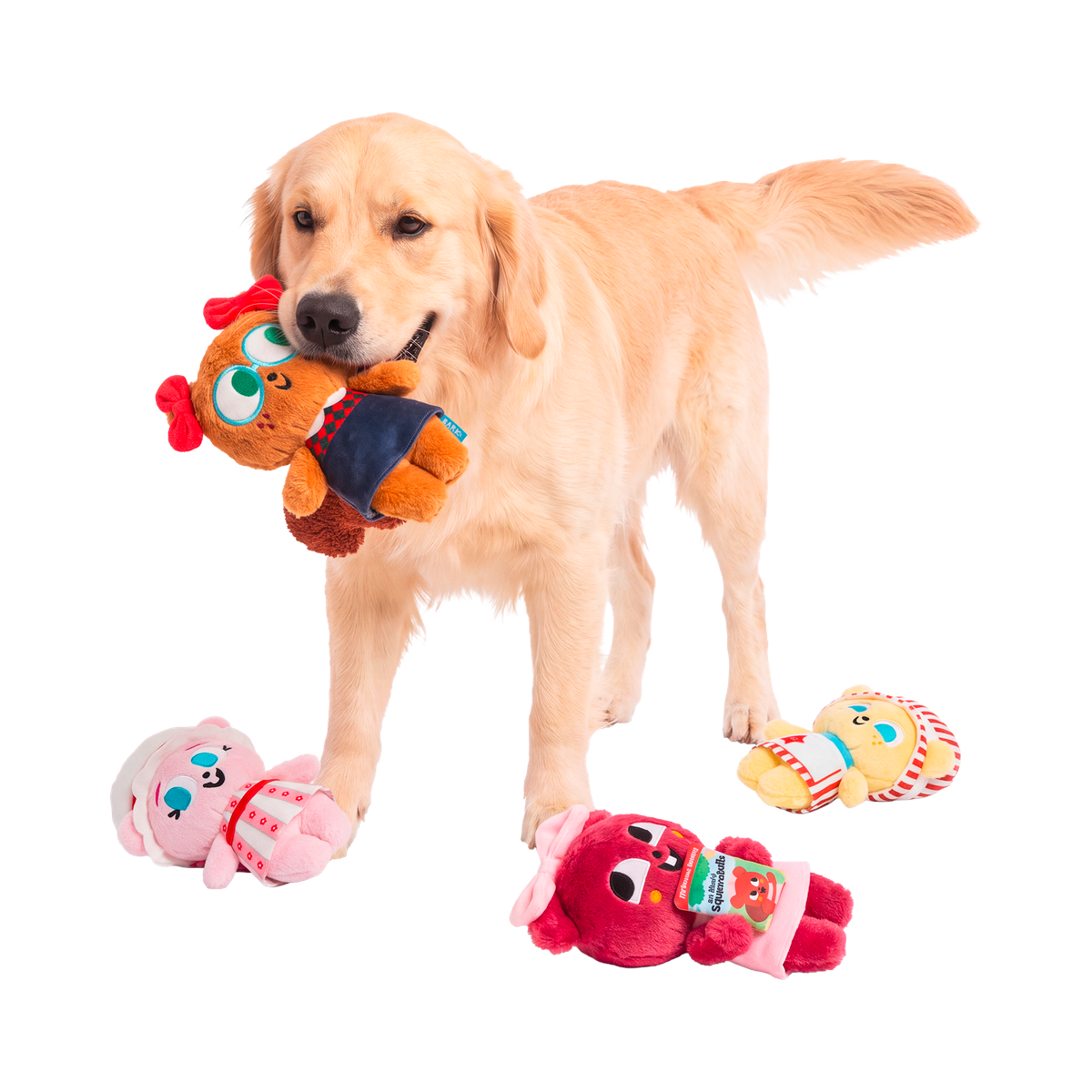 American Squirrel Dolls Plush Multi-Part Dog Toy