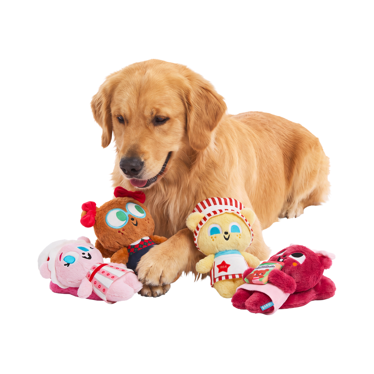 American Squirrel Dolls Plush Multi-Part Dog Toy