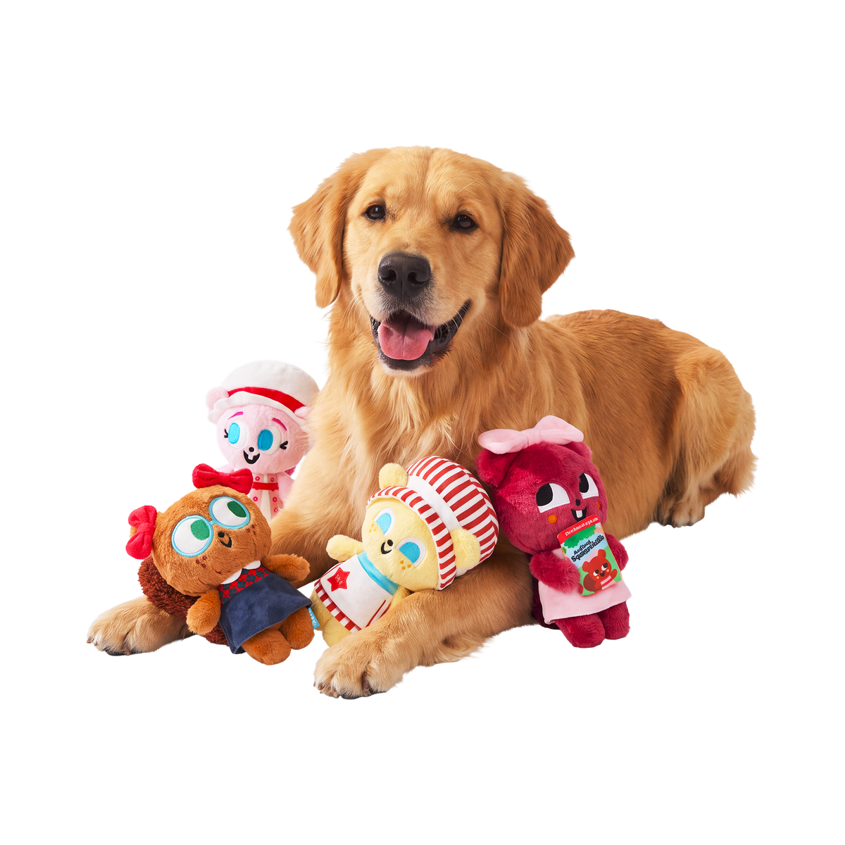 American Squirrel Dolls Plush Multi-Part Dog Toy