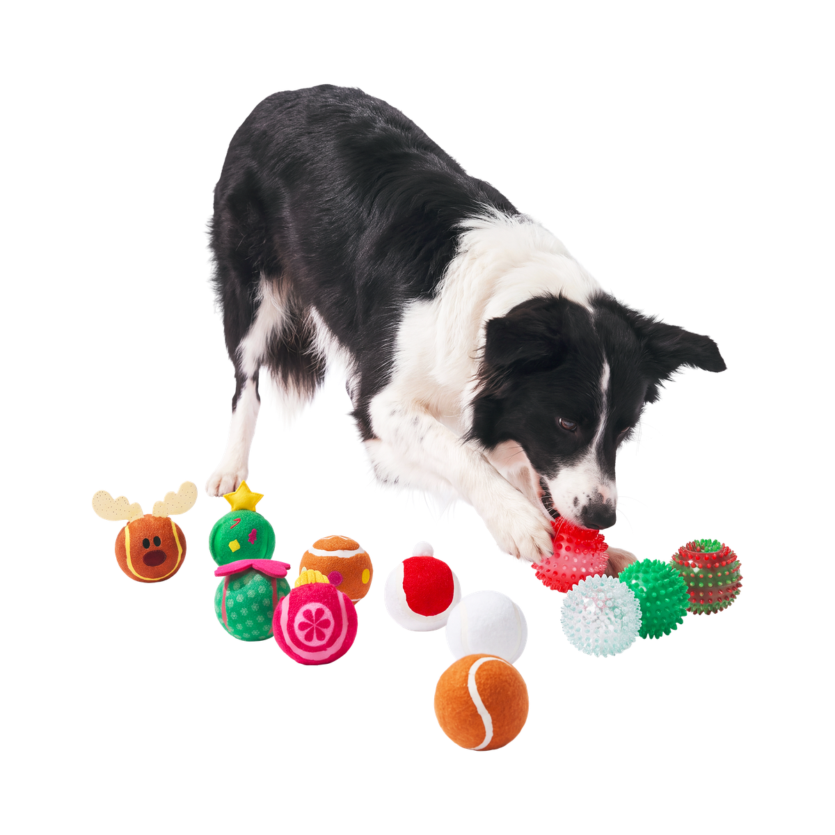 Poppin' Baubles Plush Multi-Part + Fetch Dog Toy