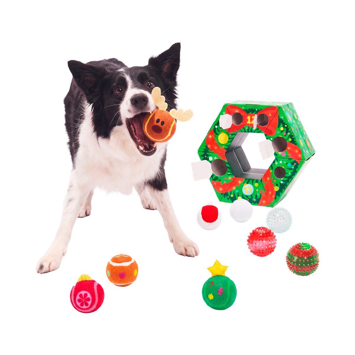 Poppin' Baubles Plush Multi-Part + Fetch Dog Toy