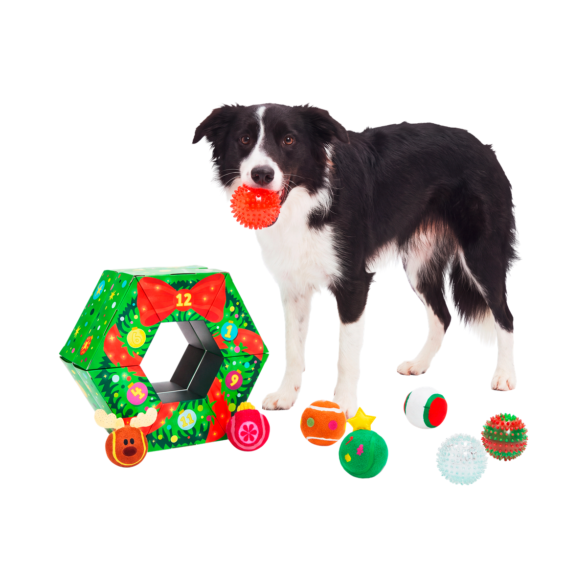 Poppin' Baubles Plush Multi-Part + Fetch Dog Toy