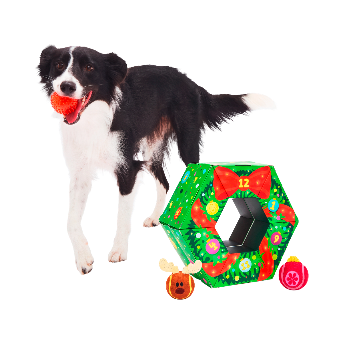 Poppin' Baubles Plush Multi-Part + Fetch Dog Toy