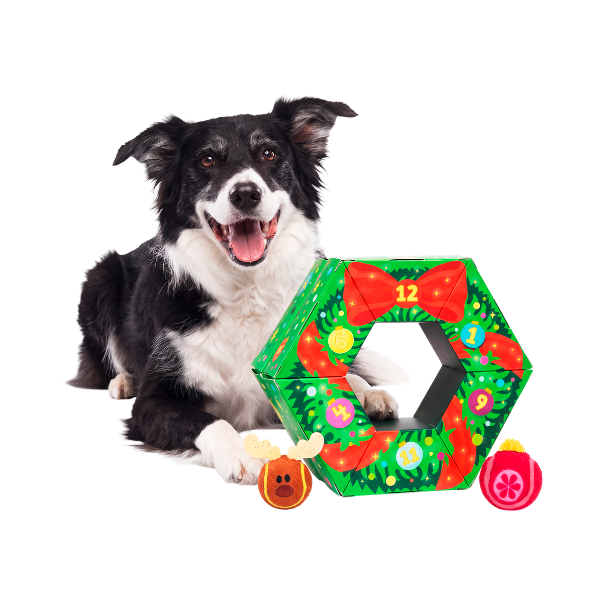 Poppin' Baubles Plush Multi-Part + Fetch Dog Toy