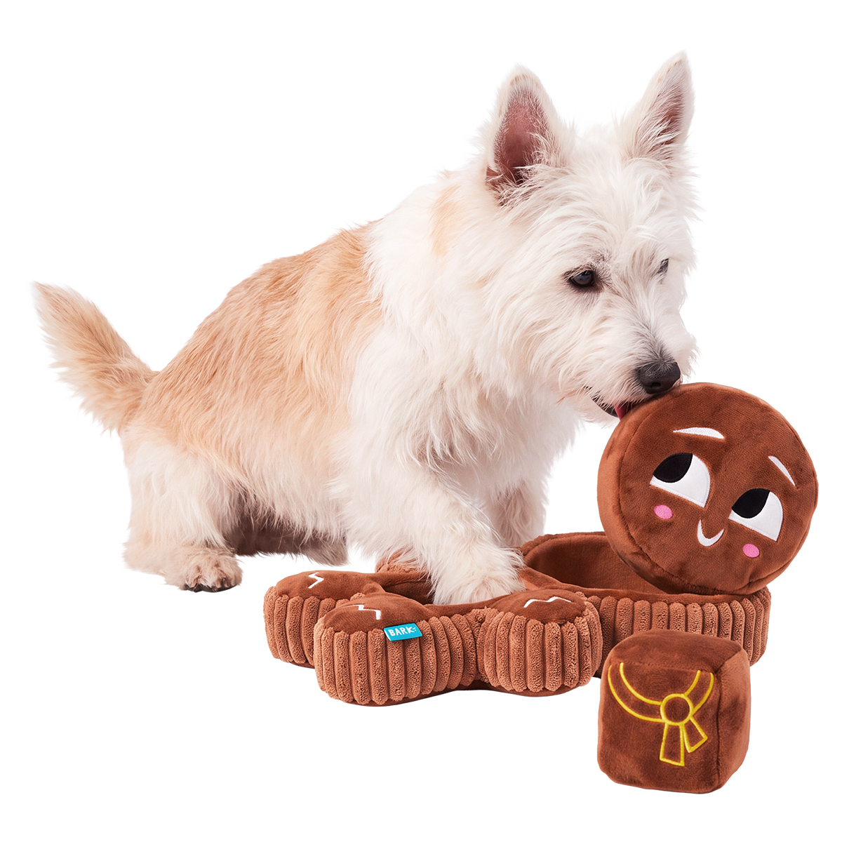 Catch Me If You Canna Plush Extra-Large + Multi-Part + Enrichment Dog Toy