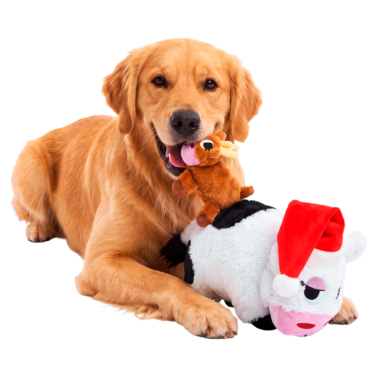 Bertha's Christmas Miracle Plush Extra-Large + Tug Dog Toy