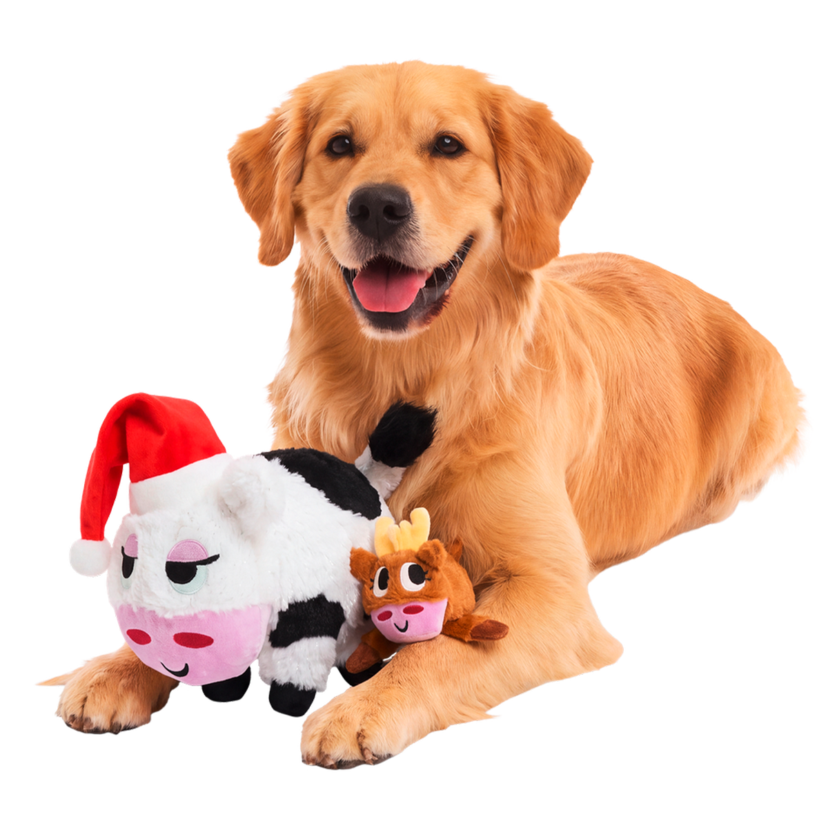Bertha's Christmas Miracle Plush Extra-Large + Tug Dog Toy