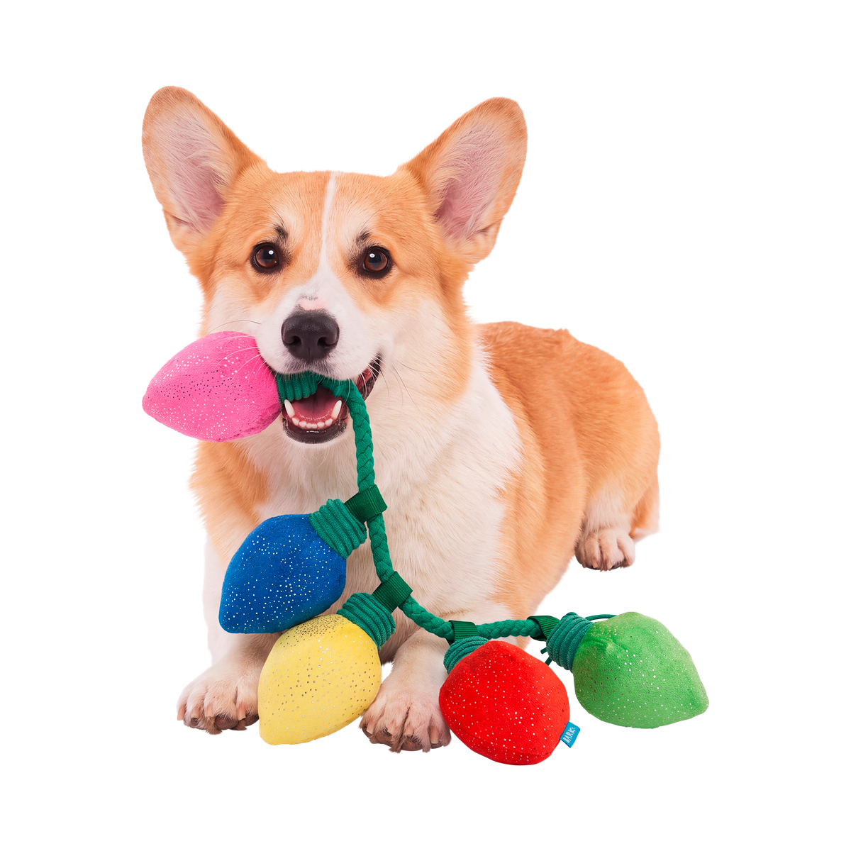 Watt a De-light Plush Tug Dog Toy
