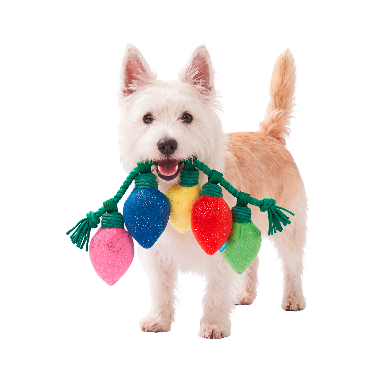 Watt a De-light Plush Tug Dog Toy