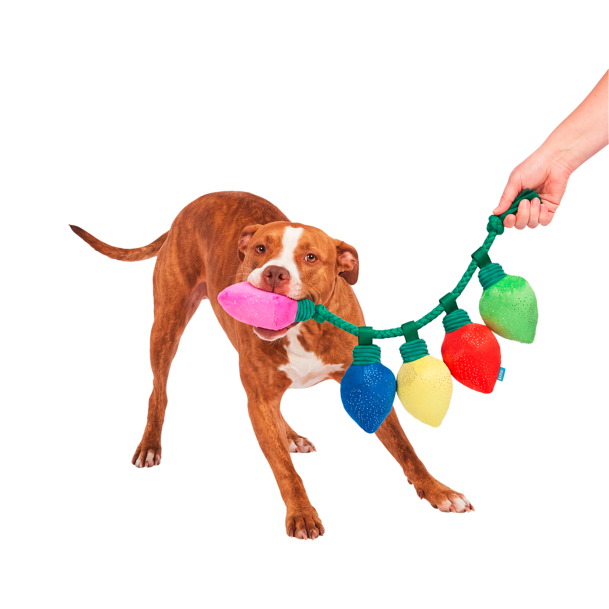 Watt a De-light Plush Tug Dog Toy