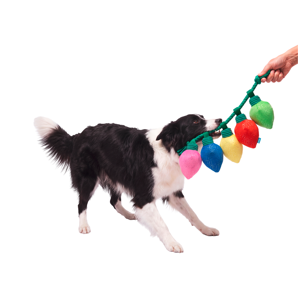 Watt a De-light Plush Tug Dog Toy