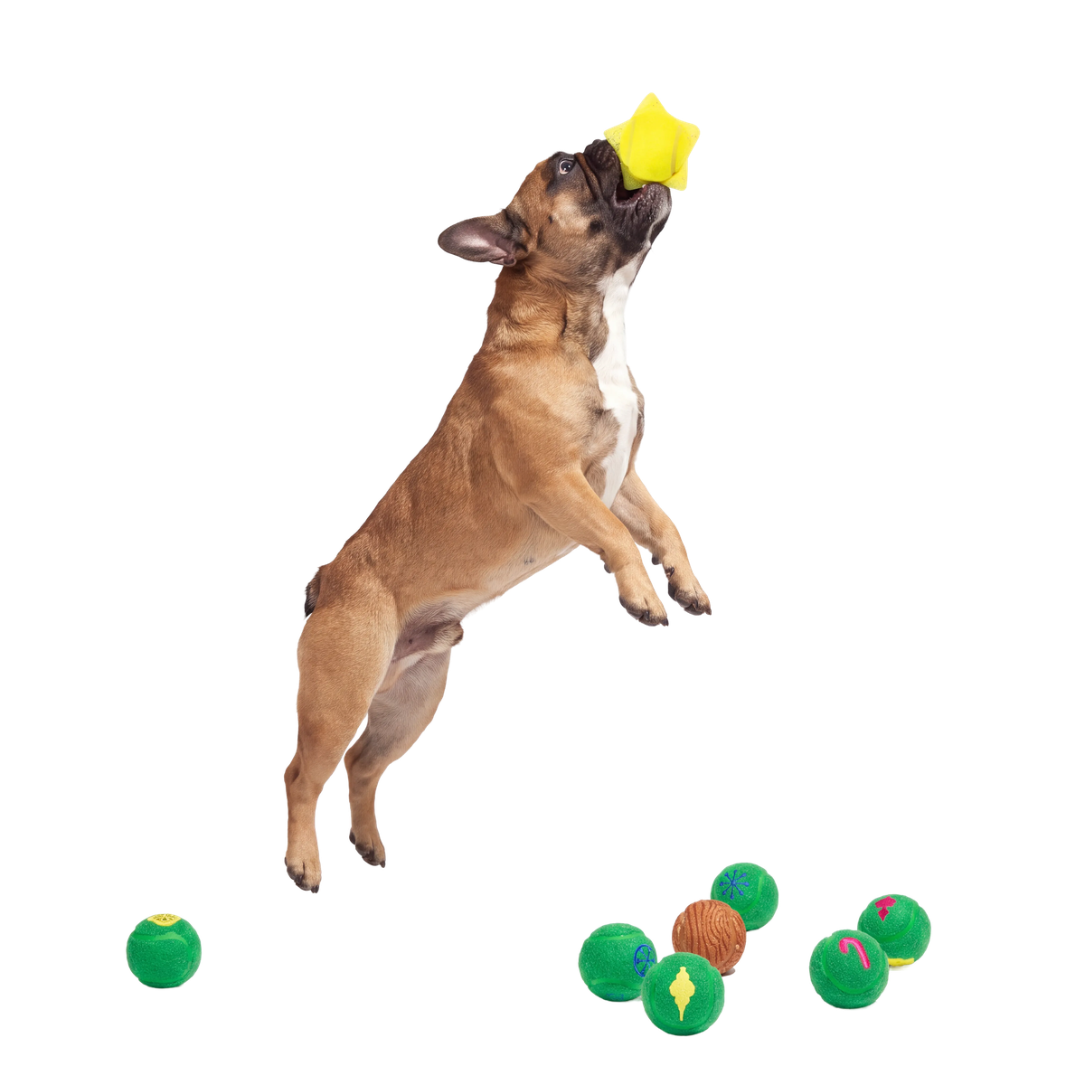 Deck the Balls Plush Multi-Part + Fetch Dog Toy