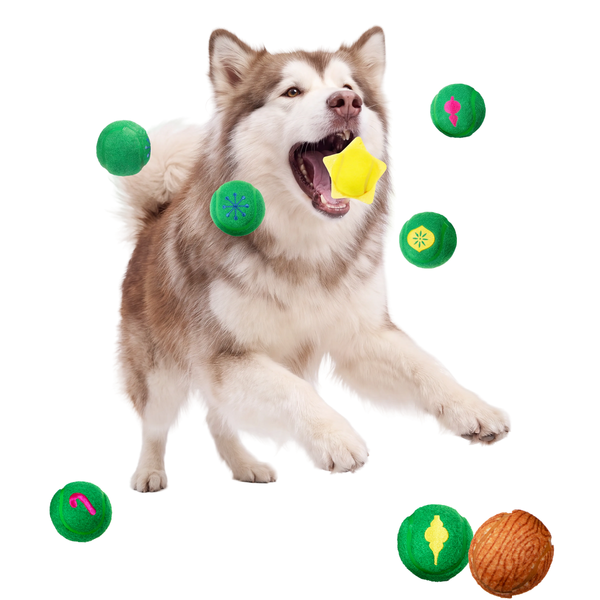 Deck the Balls Plush Multi-Part + Fetch Dog Toy
