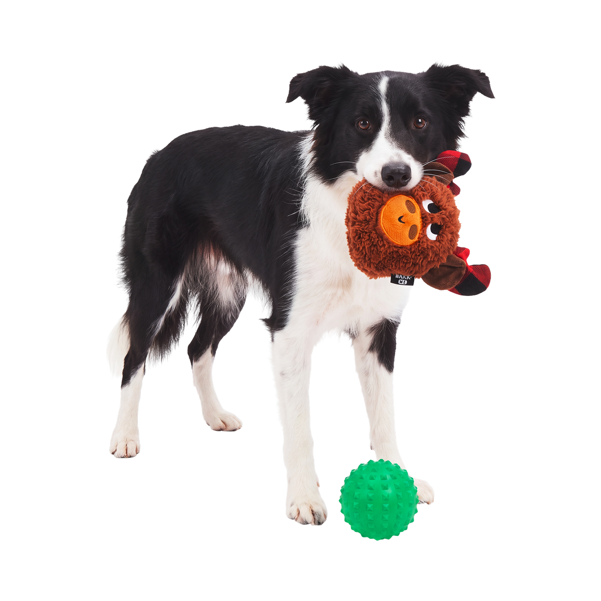 Plaidamoose Super Chewer Durable 2-in-1 + Fetch Dog Toy