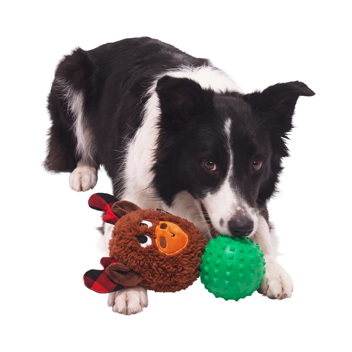Plaidamoose Super Chewer Durable 2-in-1 + Fetch Dog Toy