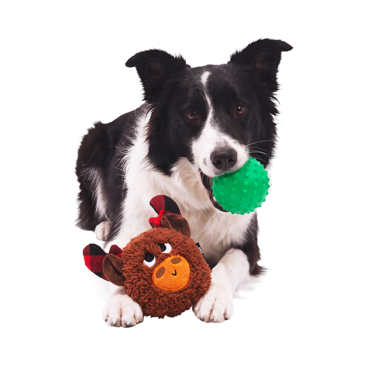 Plaidamoose Super Chewer Durable 2-in-1 + Fetch Dog Toy