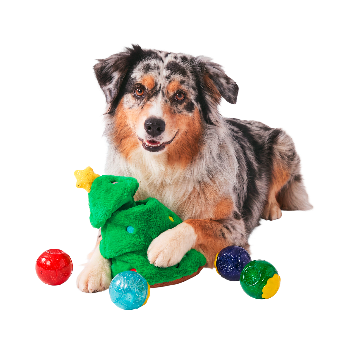 Tannenbomb Tom Super Chewer Durable 2-in-1 + Fetch Dog Toy