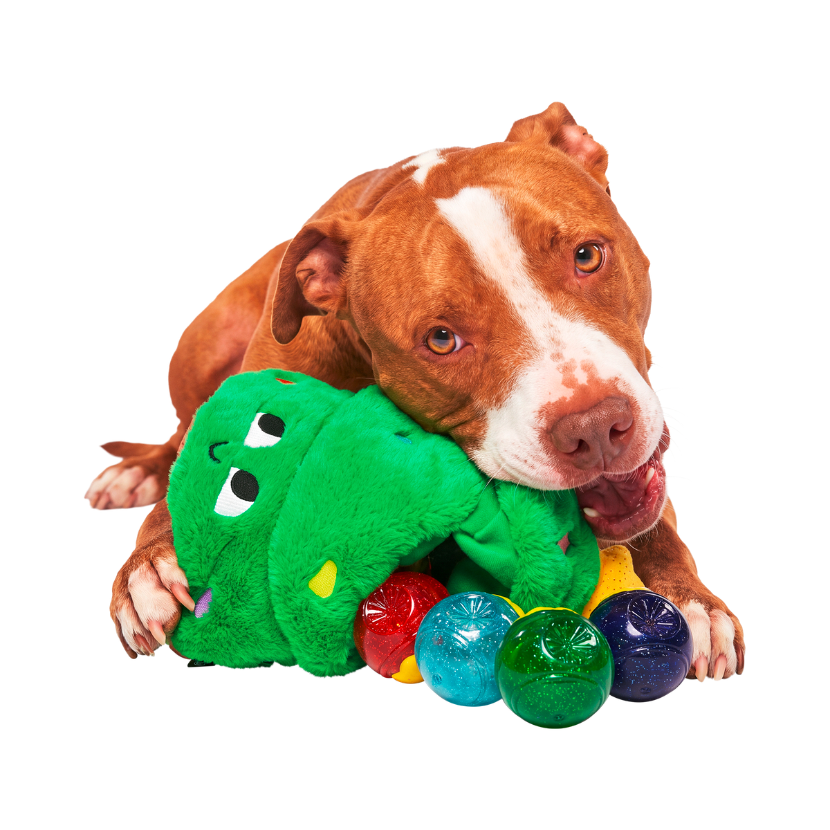 Tannenbomb Tom Super Chewer Durable 2-in-1 + Fetch Dog Toy
