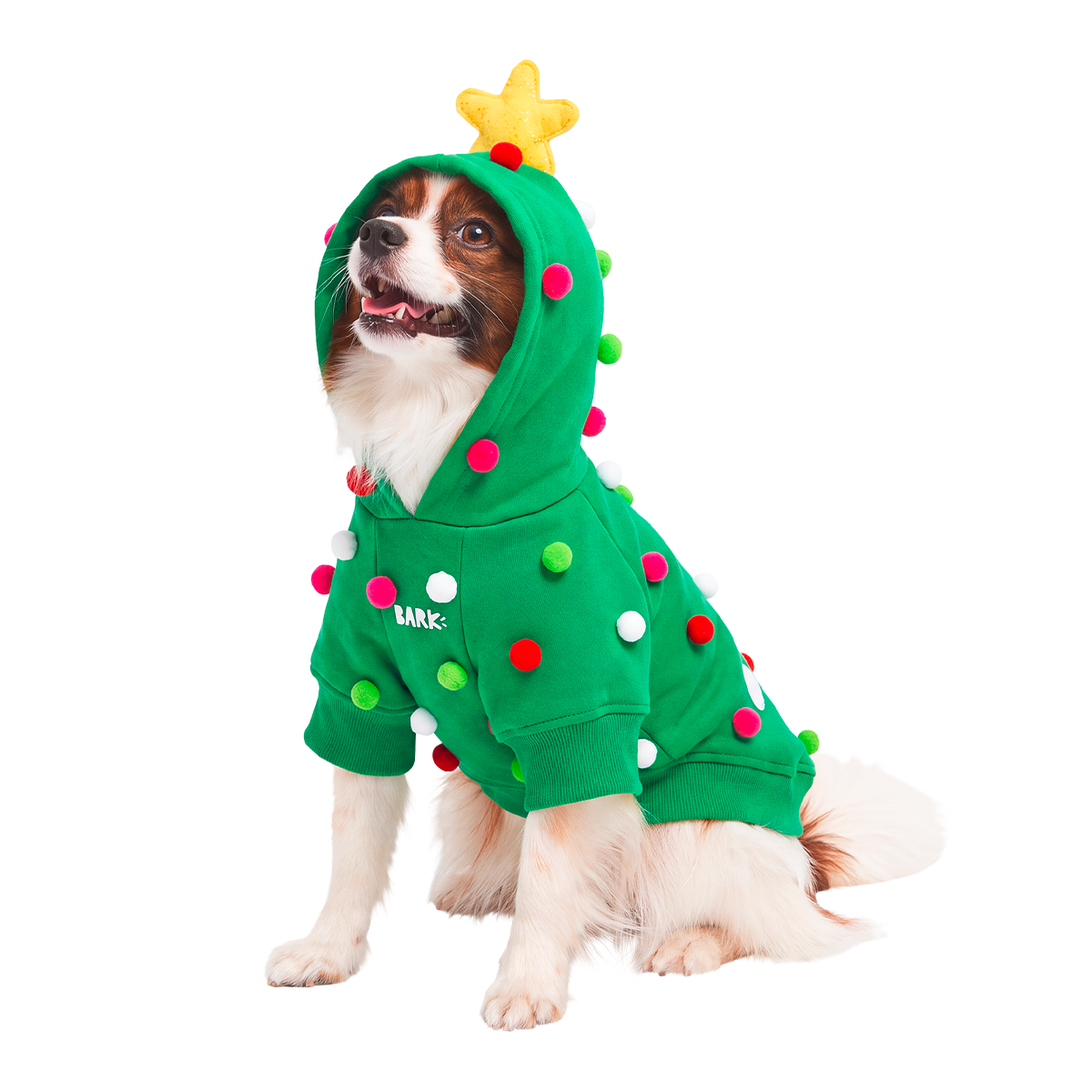 Deck the Paws Dog Hoodie + 4 Plush Dog Toys