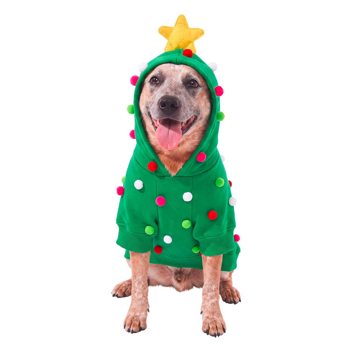 Deck the Paws Dog Hoodie + 4 Plush Dog Toys