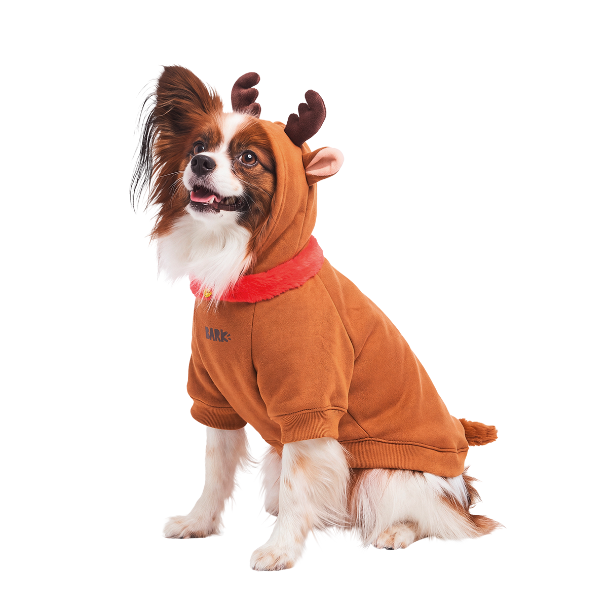 Reindog Dog Hoodie