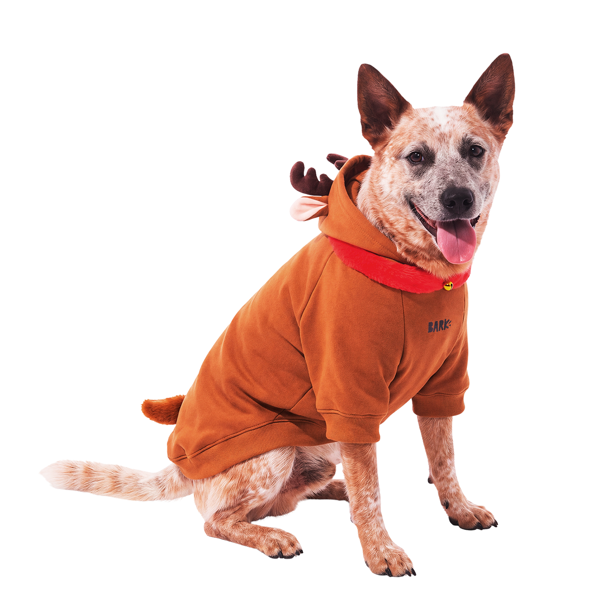 Reindog Dog Hoodie