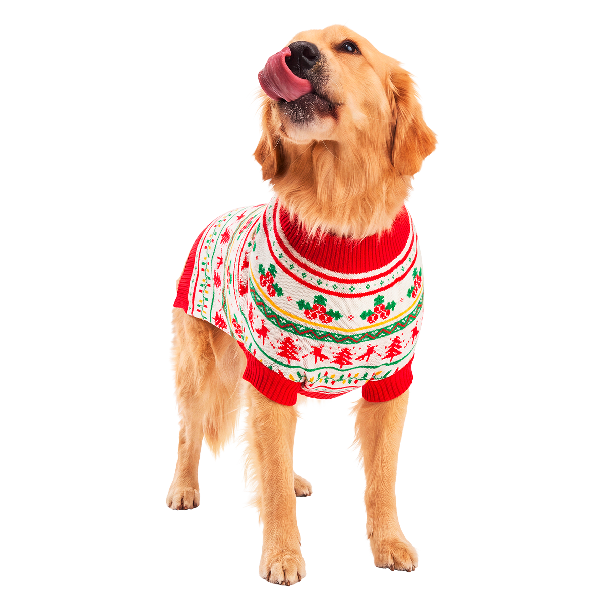 Howliday Dog Sweater