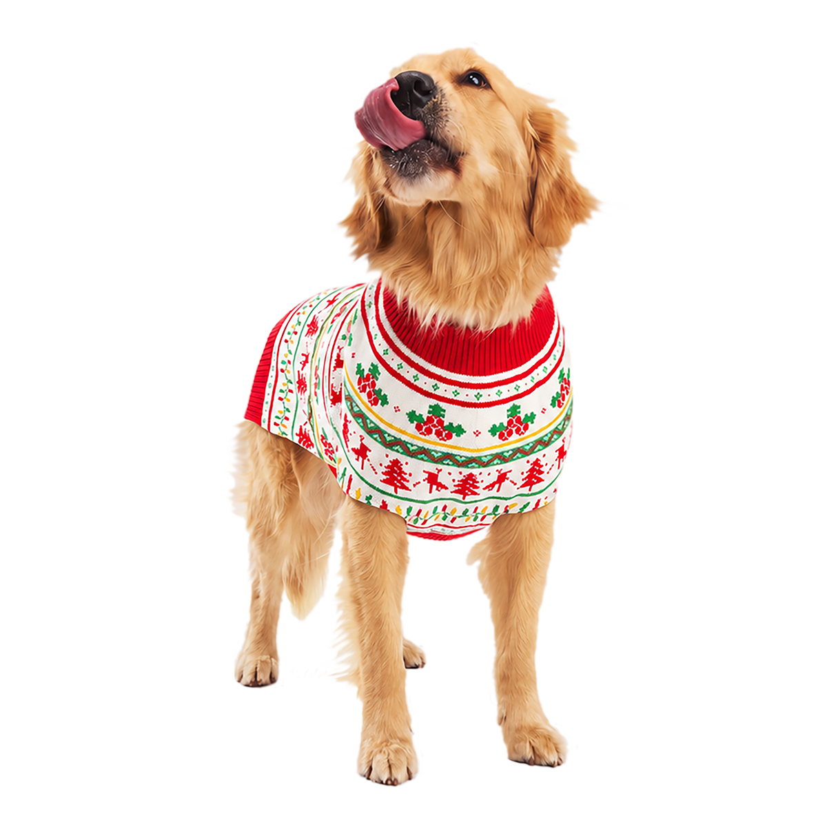 Howliday Dog Sweater