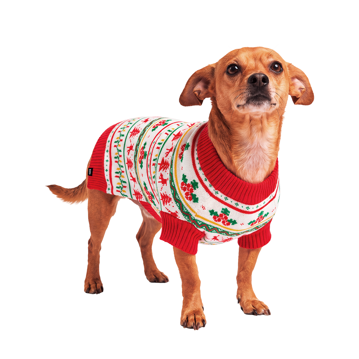 Howliday Dog Sweater