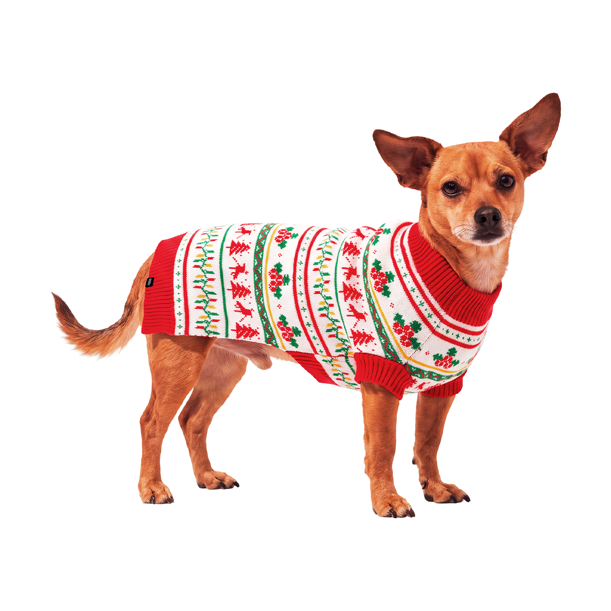 Howliday Dog Sweater