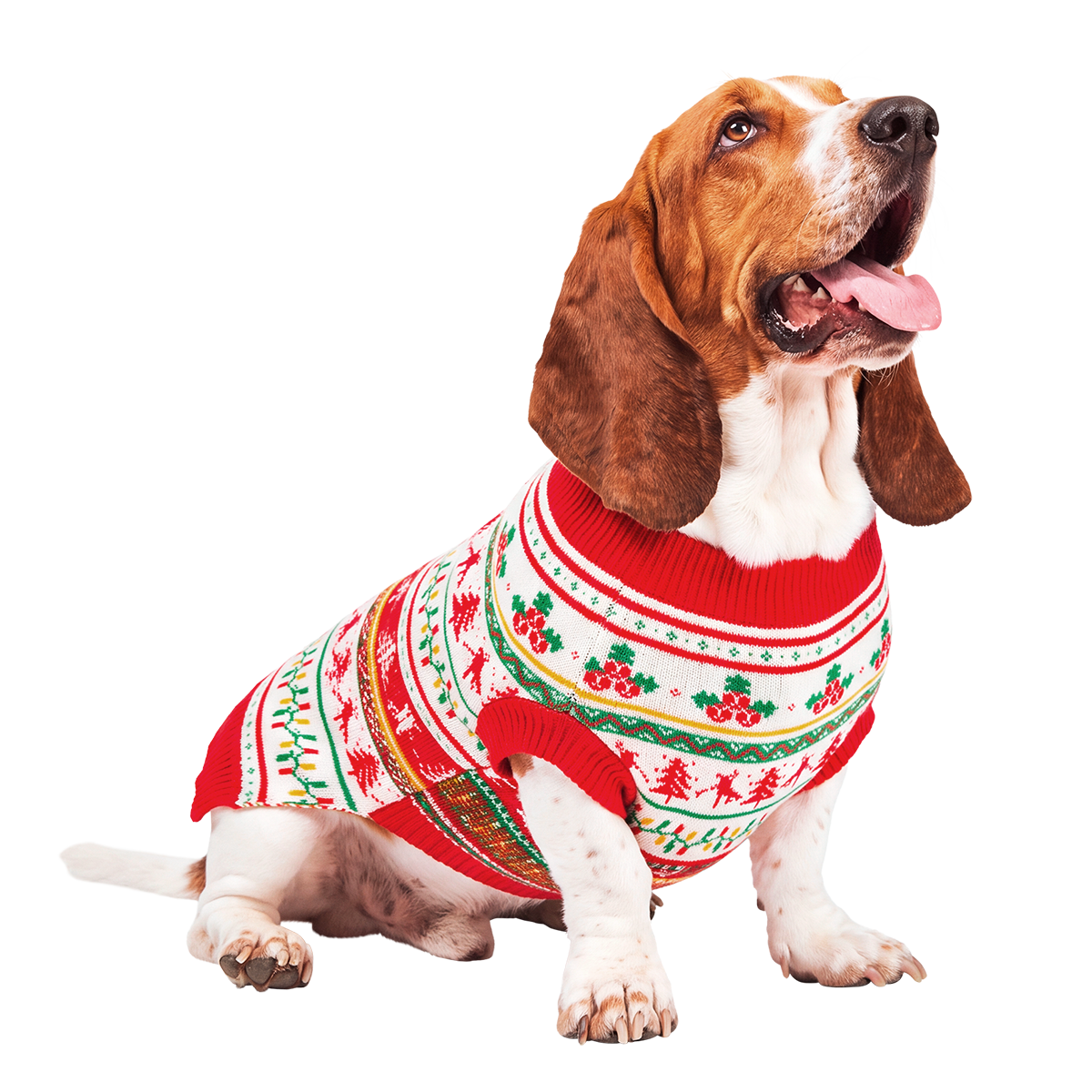 Howliday Dog Sweater