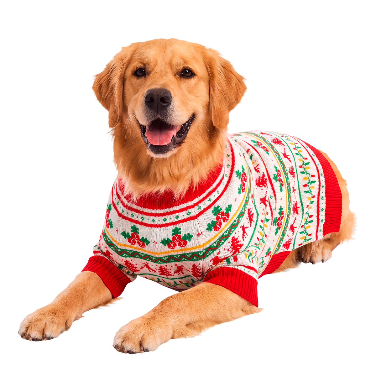 Howliday Dog Sweater