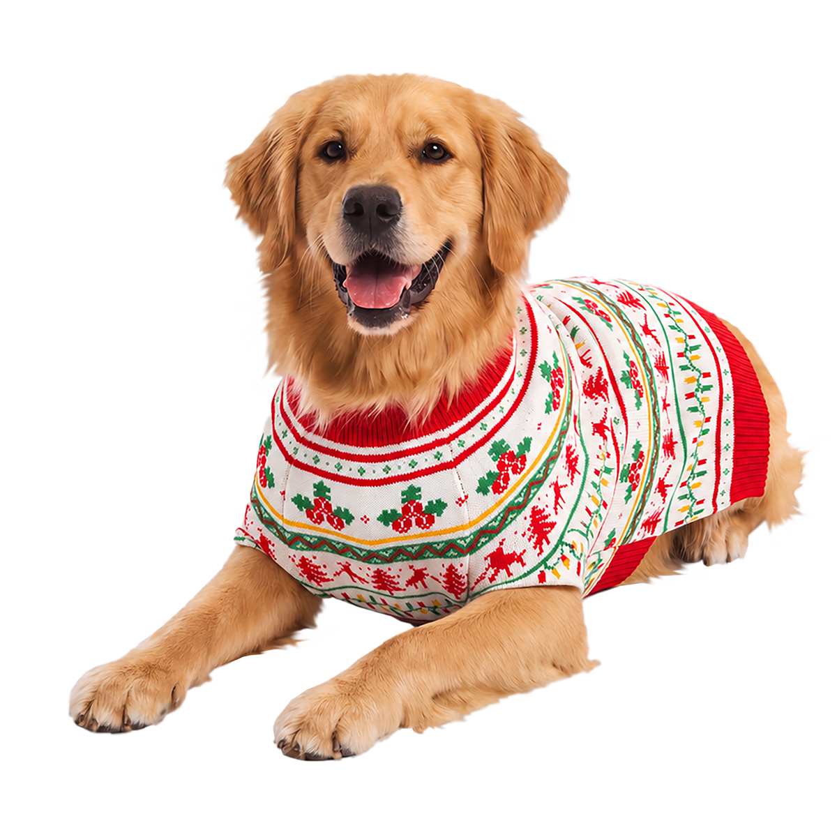 Howliday Dog Sweater