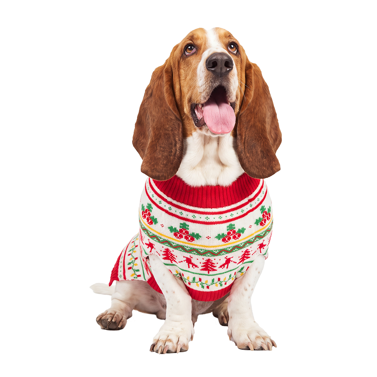 Howliday Dog Sweater