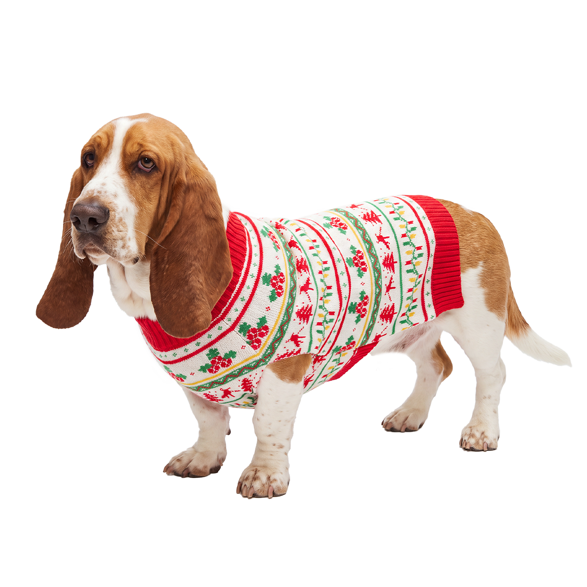 Howliday Dog Sweater