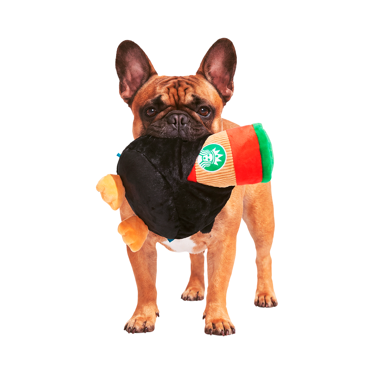 Coco the Penguin Plush Extra-Large + 2-in-1 Dog Toy