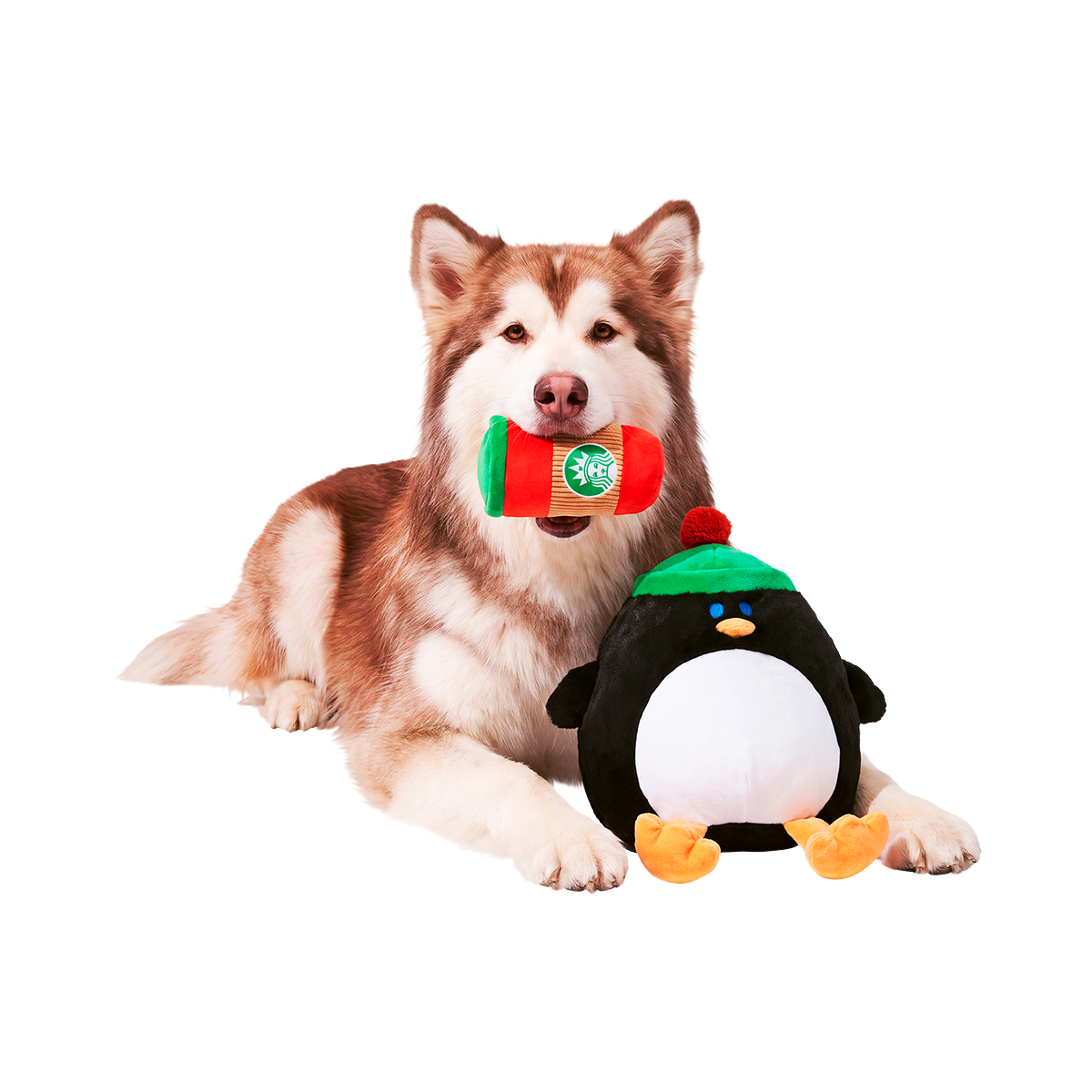 Coco the Penguin Plush Extra-Large + 2-in-1 Dog Toy