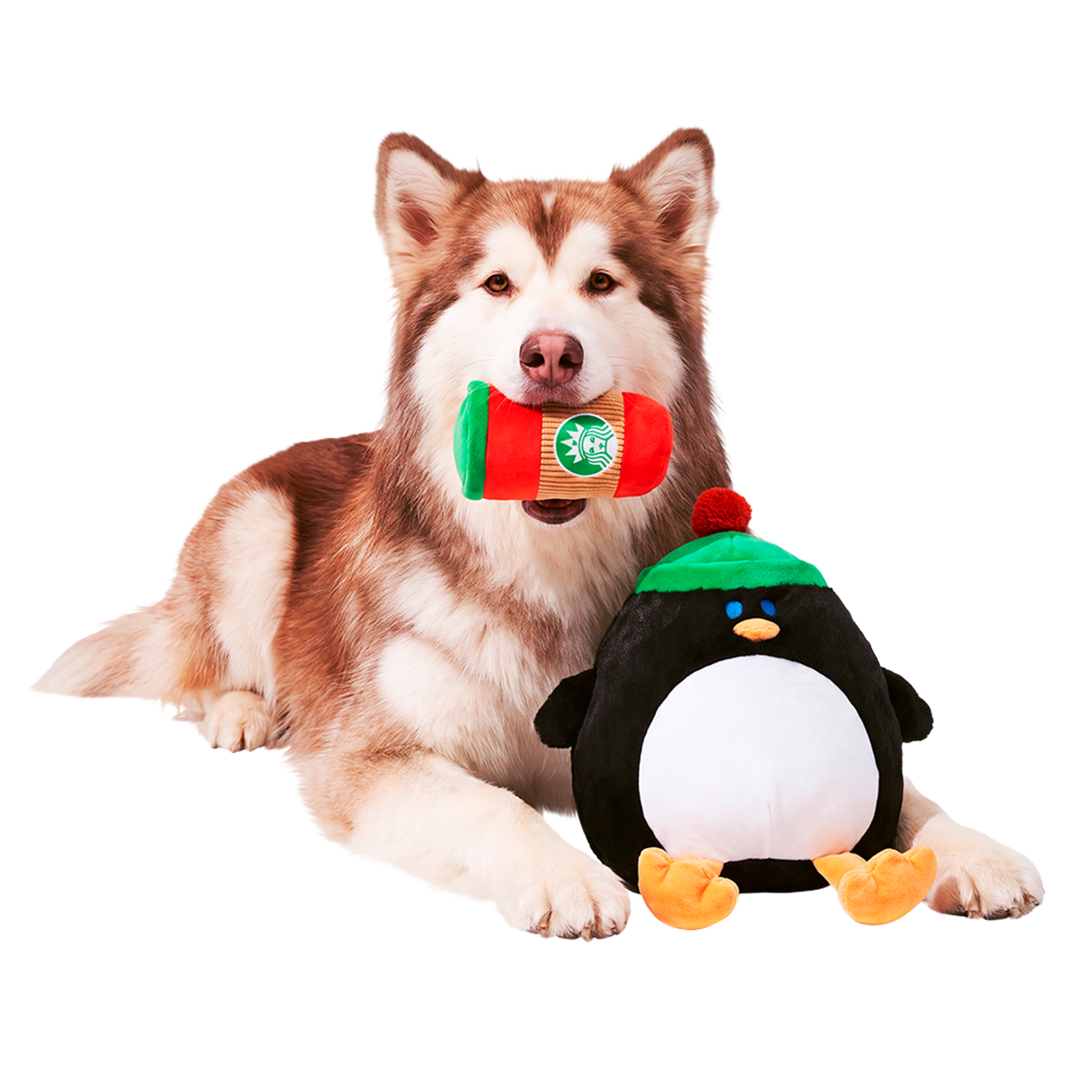 Coco the Penguin Plush Extra-Large + 2-in-1 Dog Toy