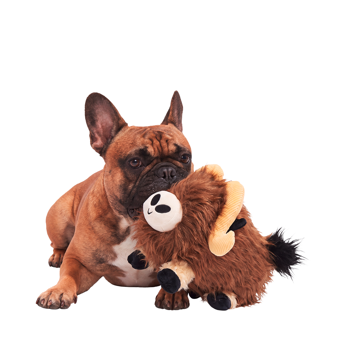 Musky Murphy Plush Extra-Large + 2-in-1 Dog Toy