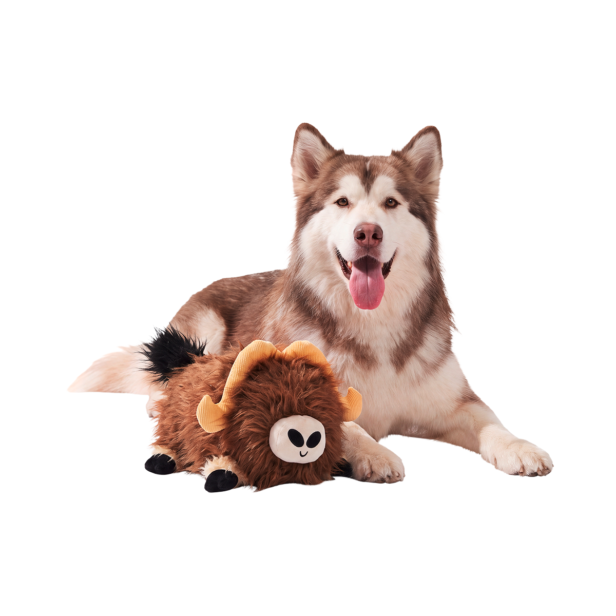Musky Murphy Plush Extra-Large + 2-in-1 Dog Toy