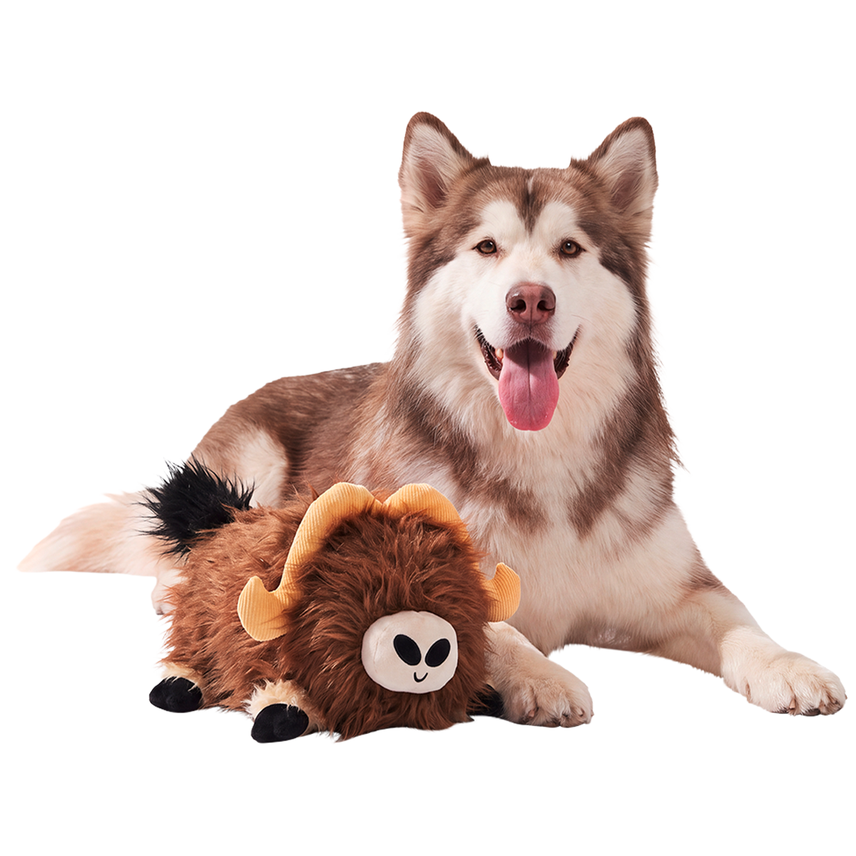 Musky Murphy Plush Extra-Large + 2-in-1 Dog Toy