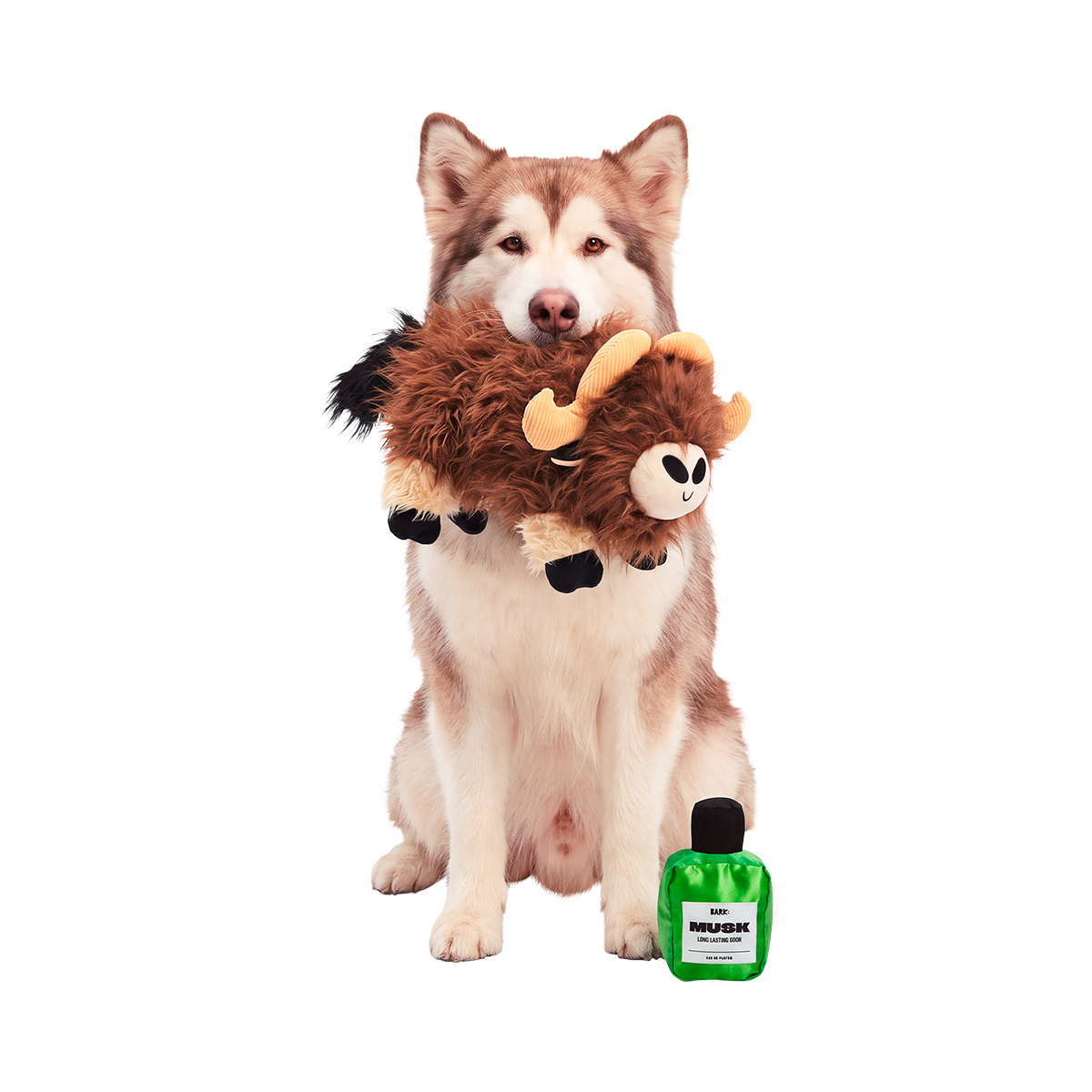 Musky Murphy Plush Extra-Large + 2-in-1 Dog Toy