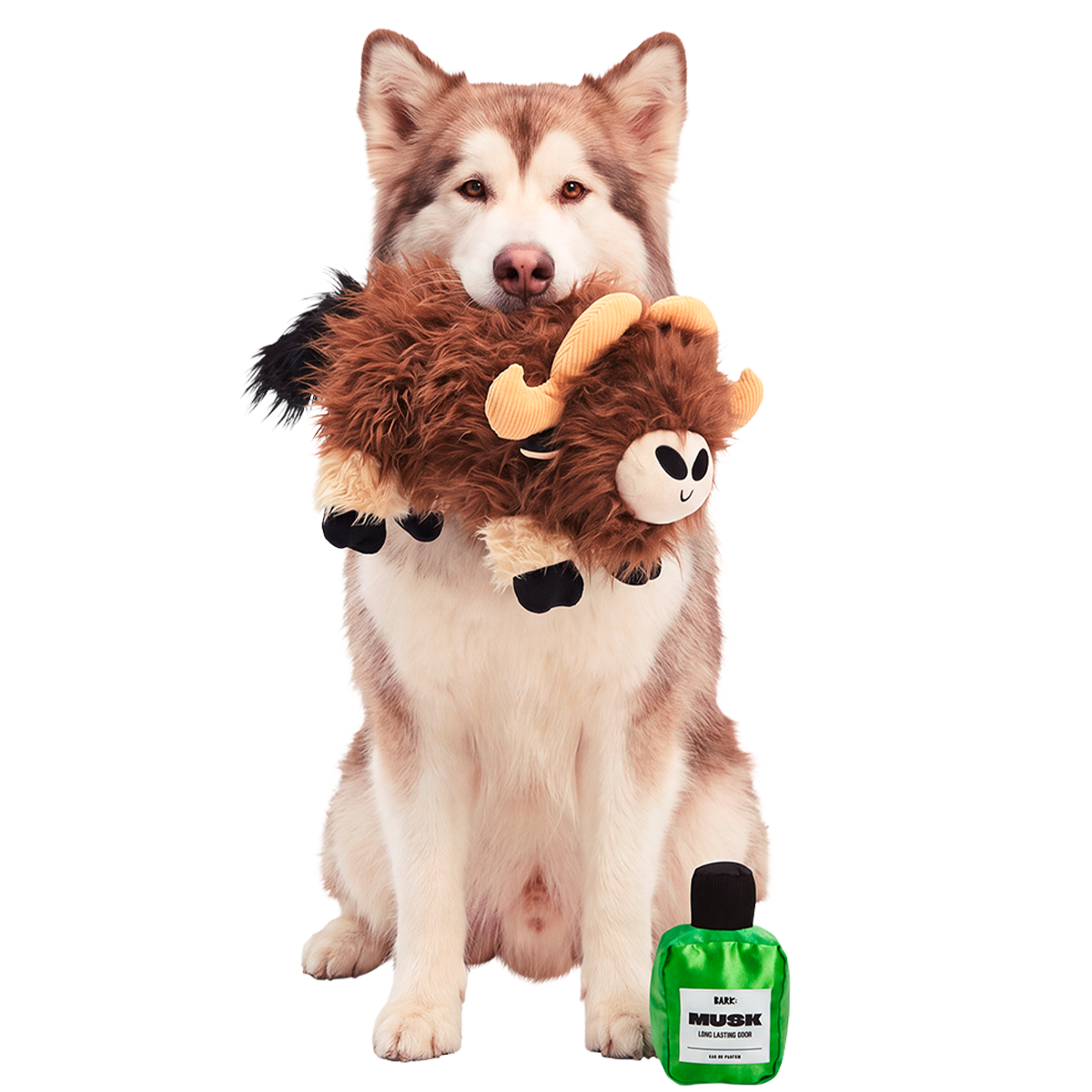 Musky Murphy Plush Extra-Large + 2-in-1 Dog Toy