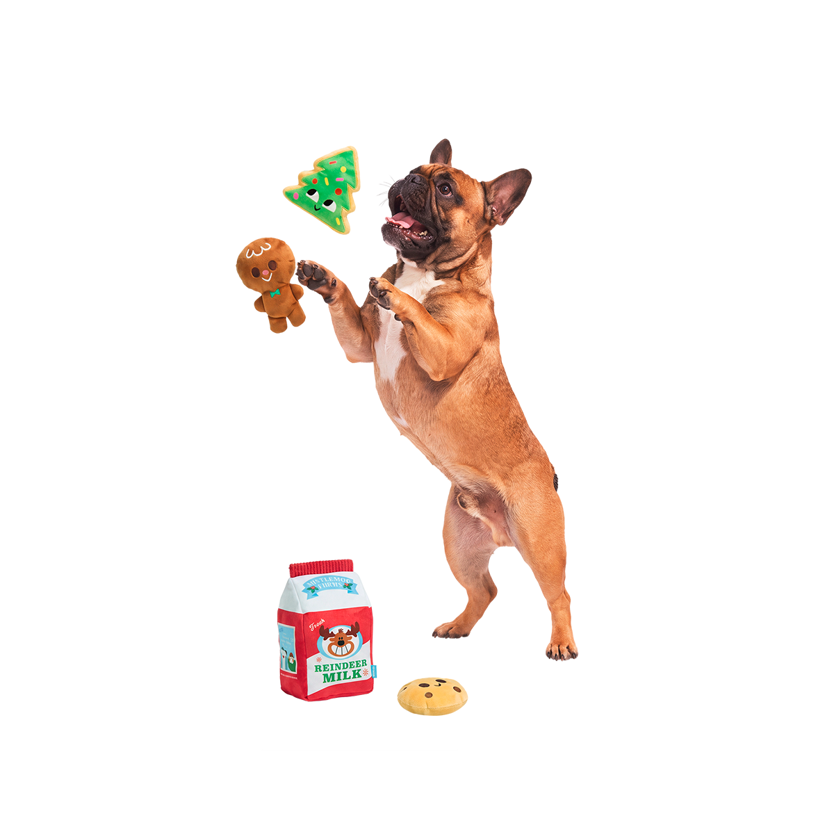 North Pole Noms Plush Multi-Part + Enrichment Dog Toy