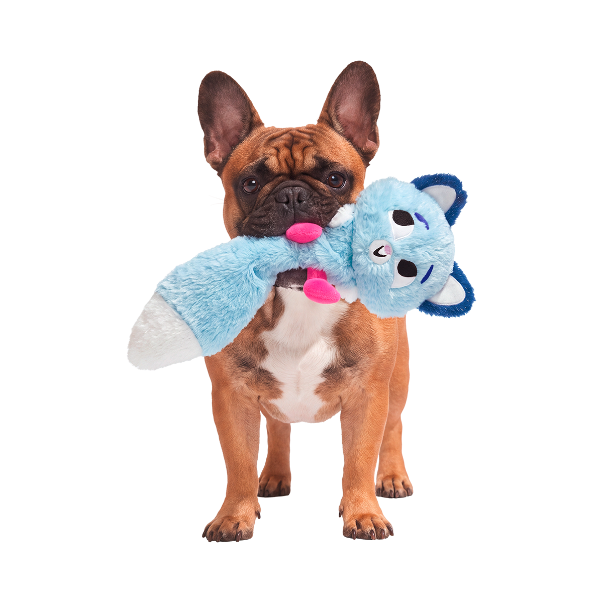 Stone Cold Knox Plush Extra-Large + Tug Dog Toy